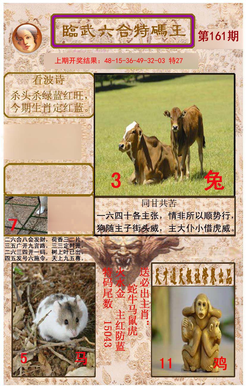 2024161期临武六合特码王