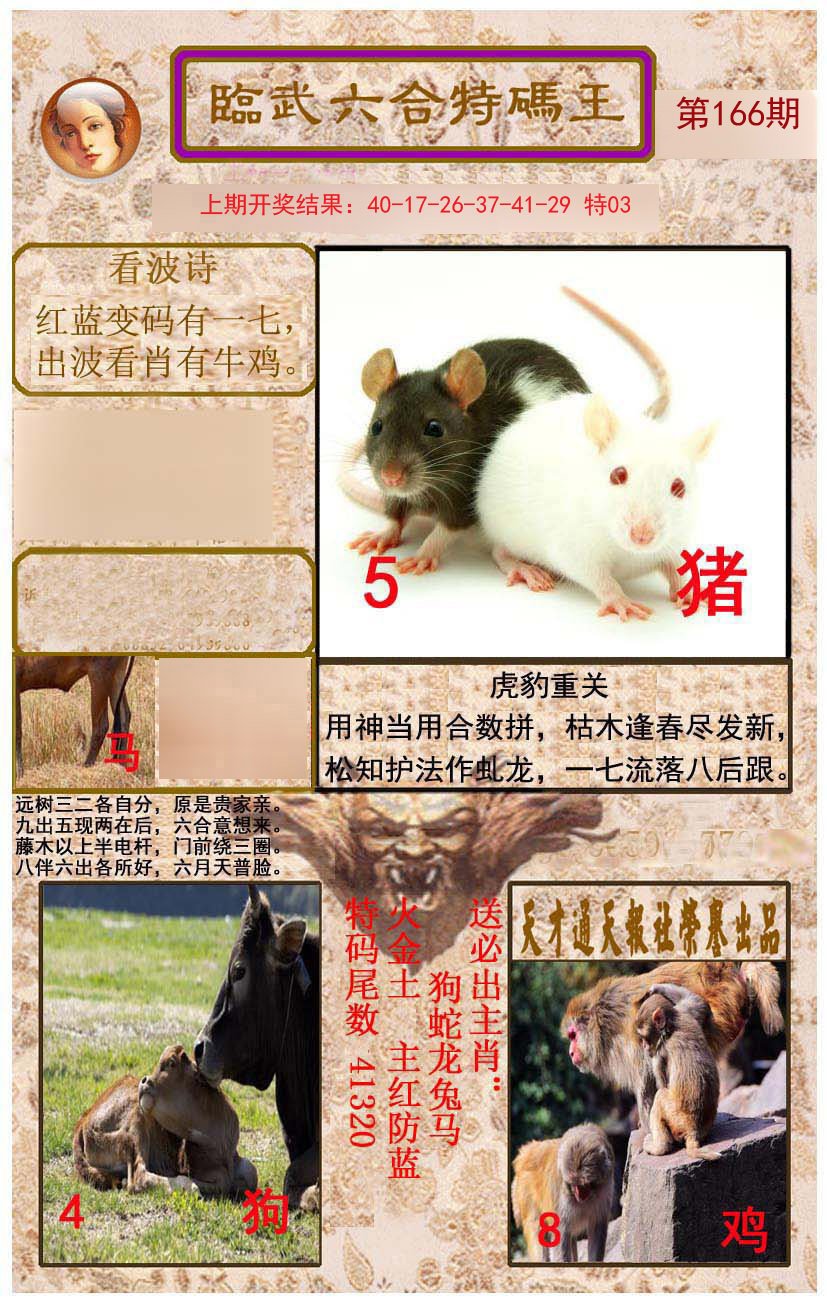 2024166期临武六合特码王
