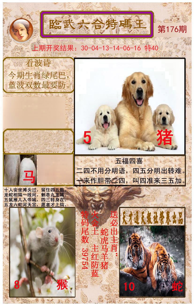 2024176期临武六合特码王