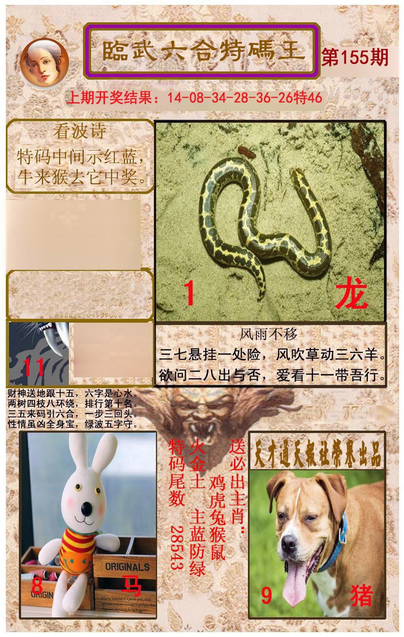 2024155期临武六合特码王
