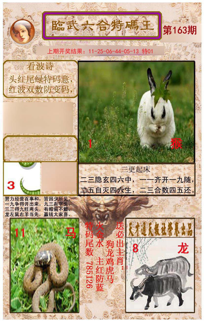 2024163期临武六合特码王