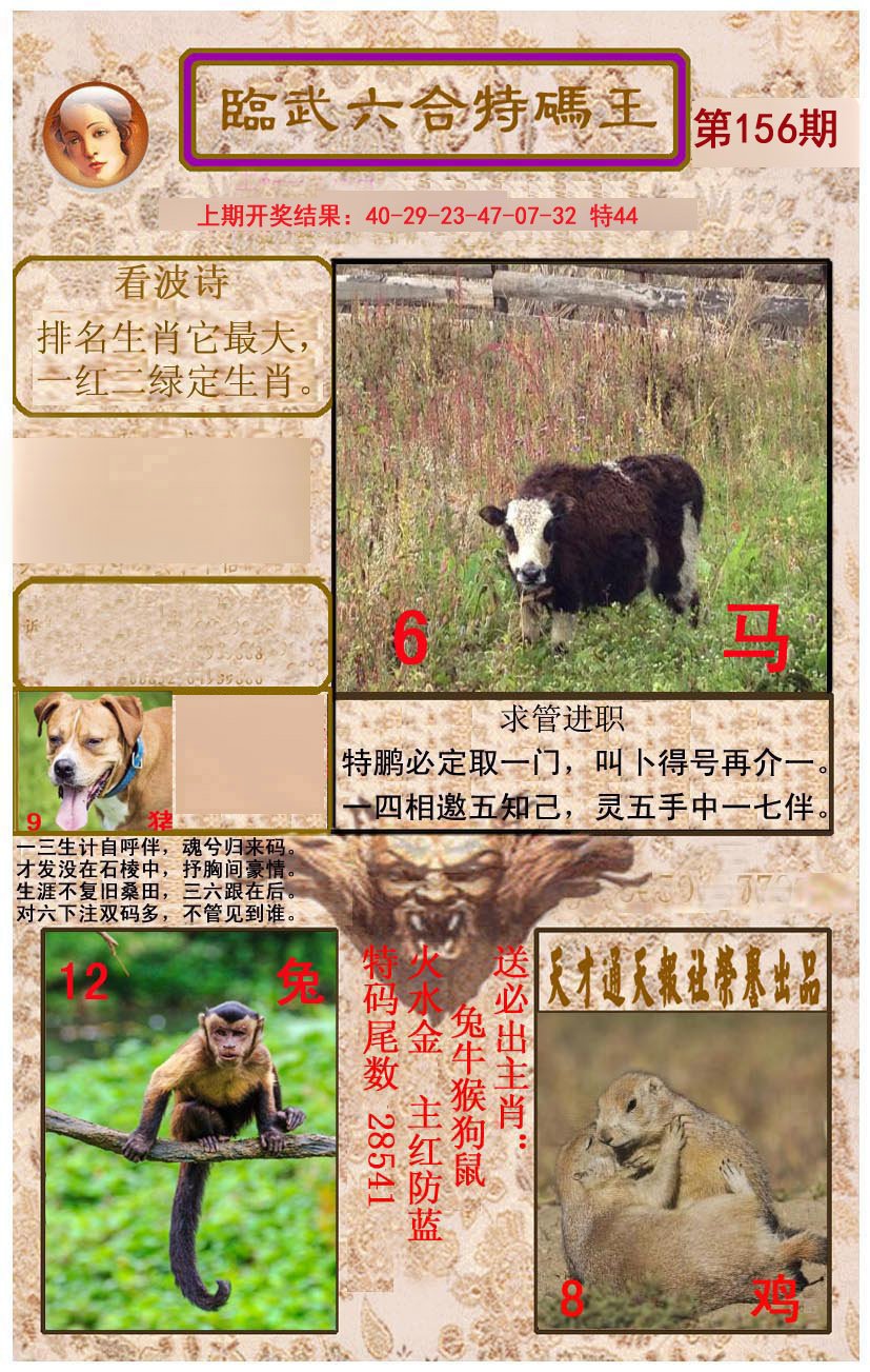 2024156期临武六合特码王