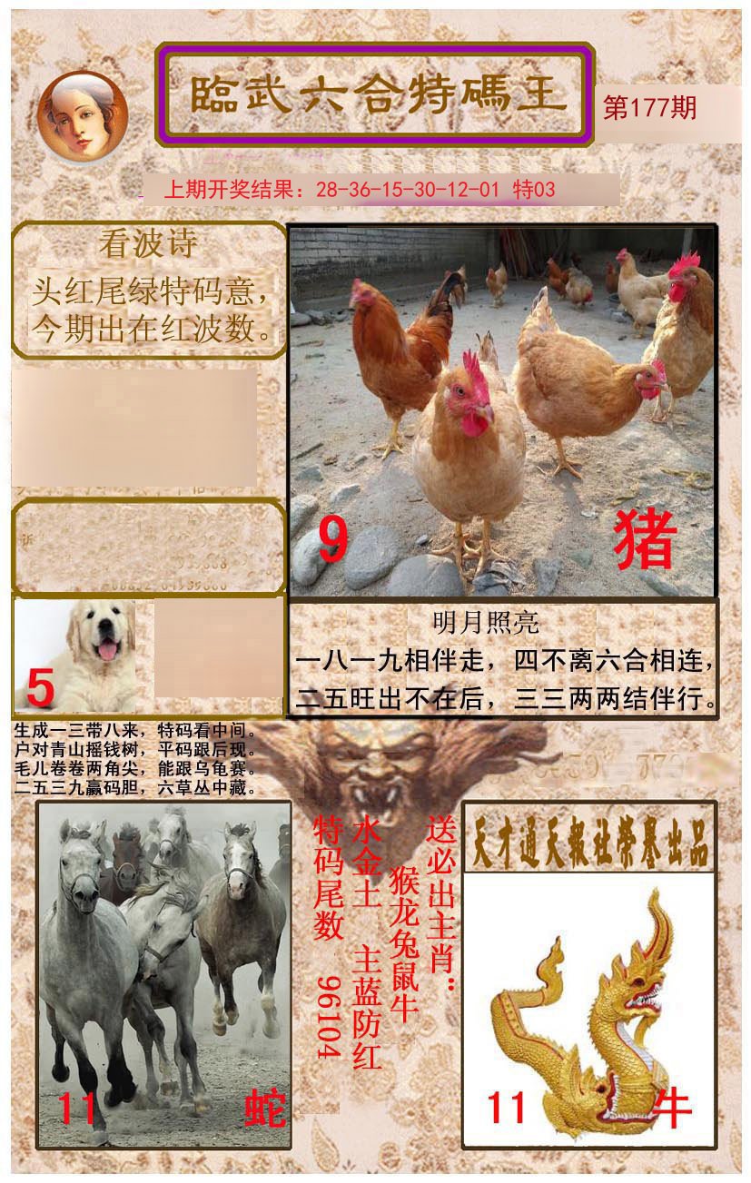 2024177期临武六合特码王