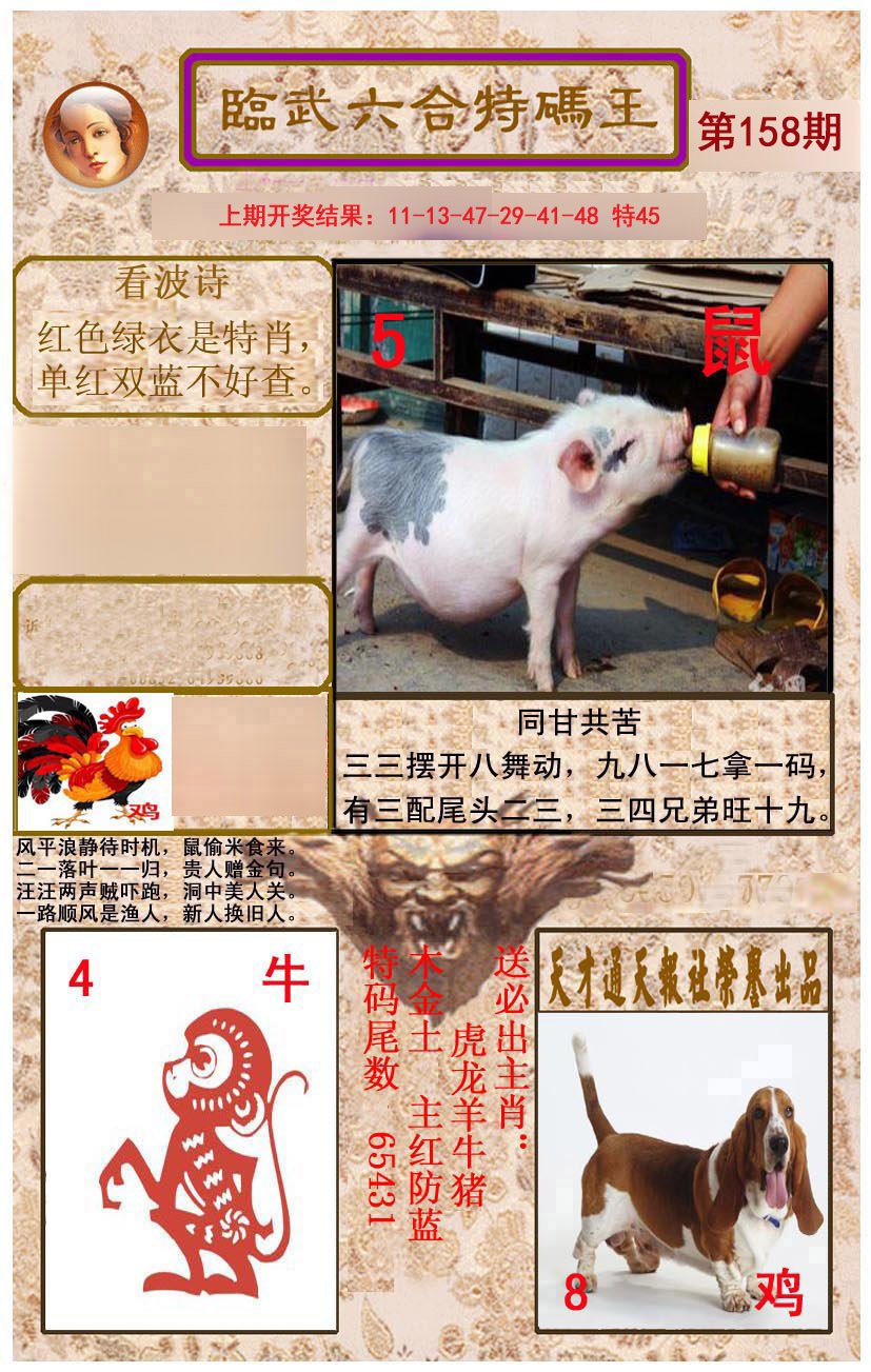 2024158期临武六合特码王