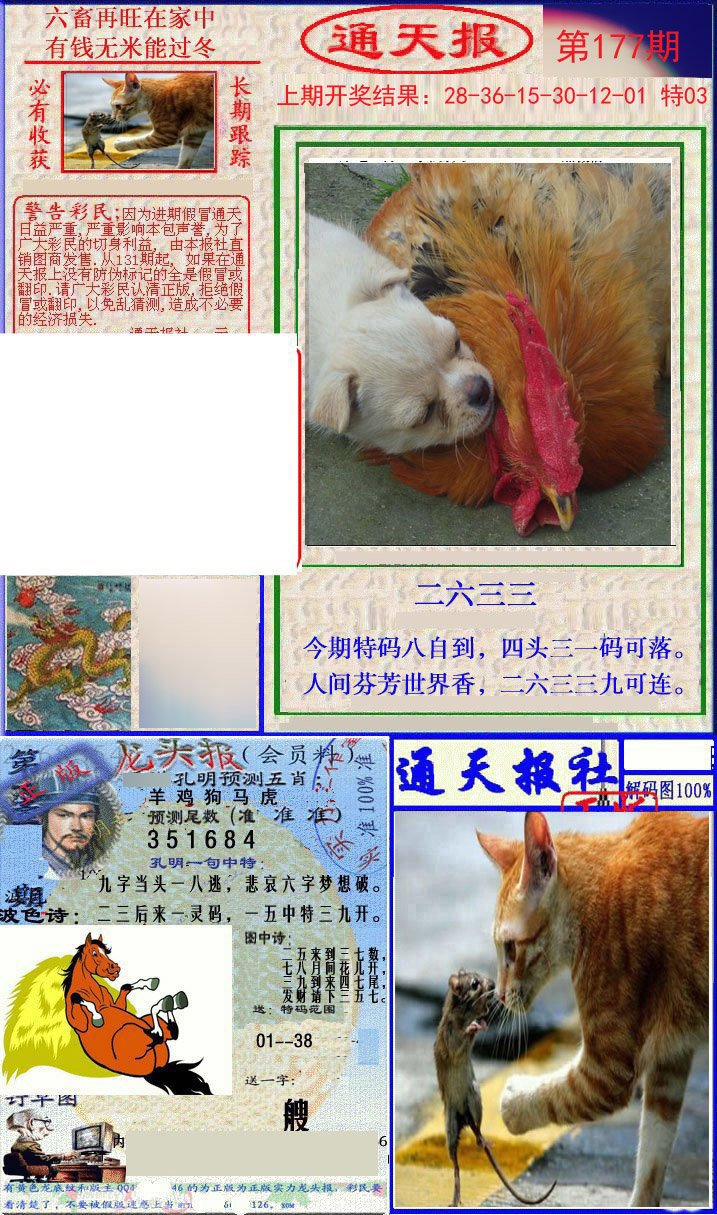 2024177期实力通天报