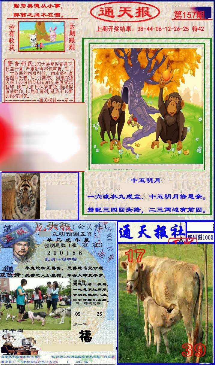 2024157期实力通天报