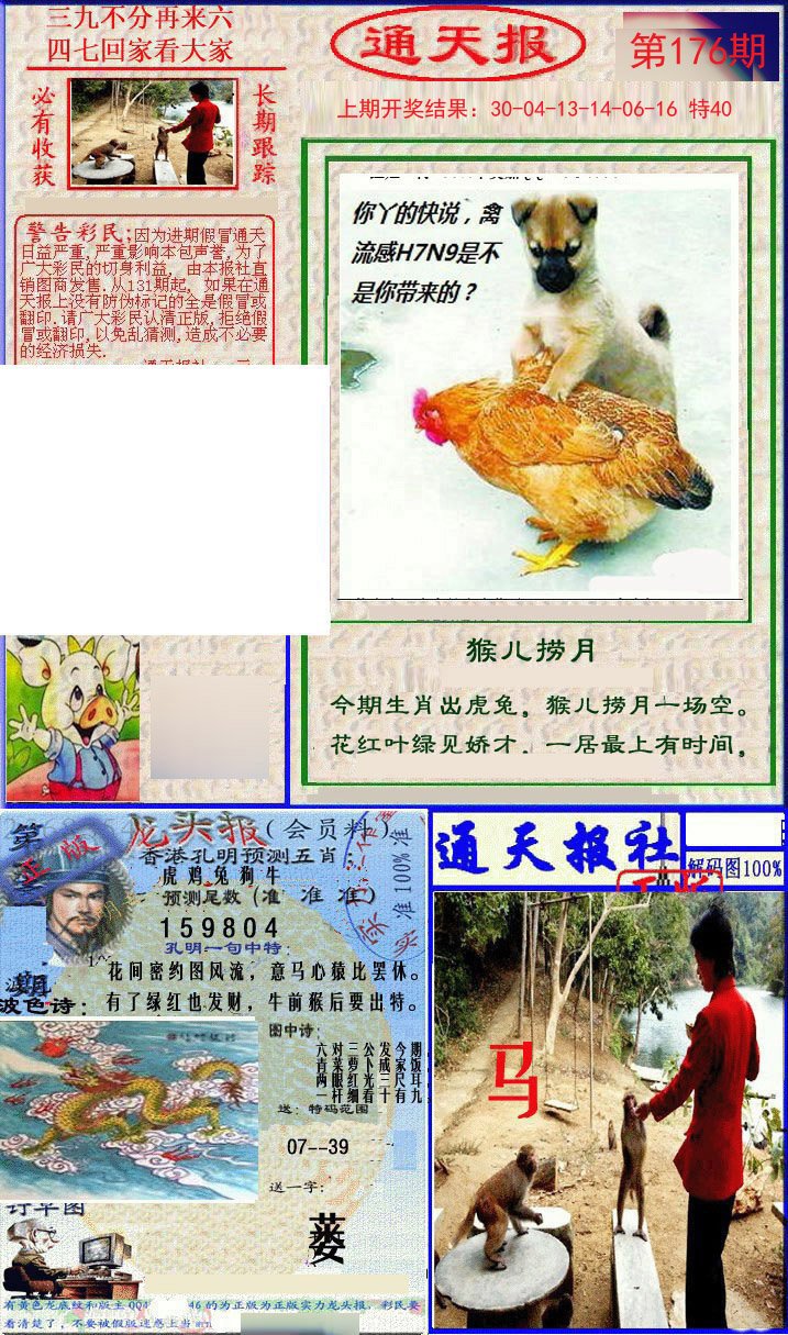 2024176期实力通天报