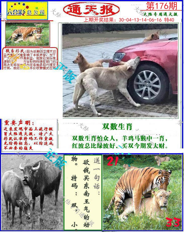 2024176期大陆通天报