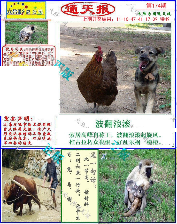 2024174期大陆通天报