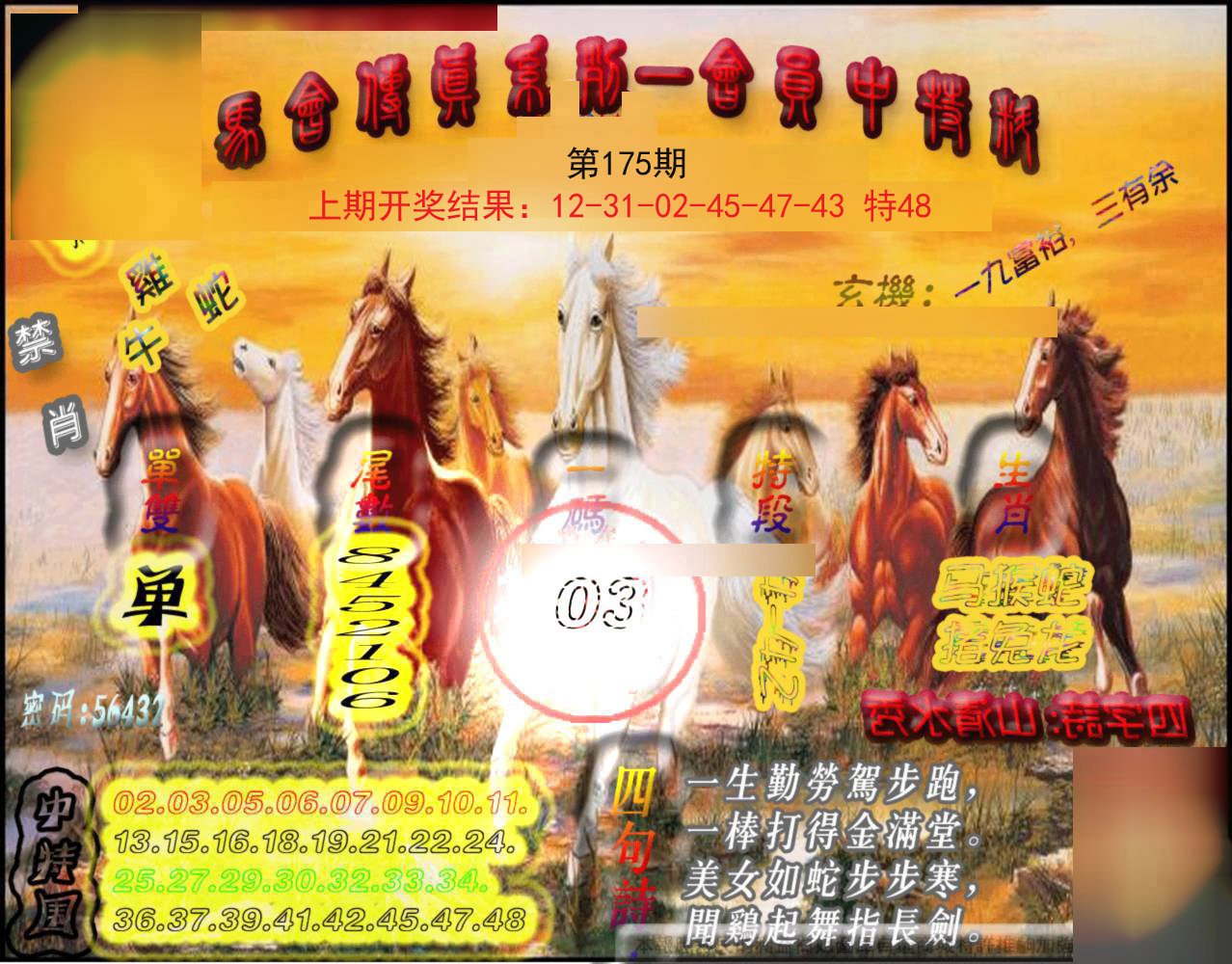 2024175期马会传真-会员报