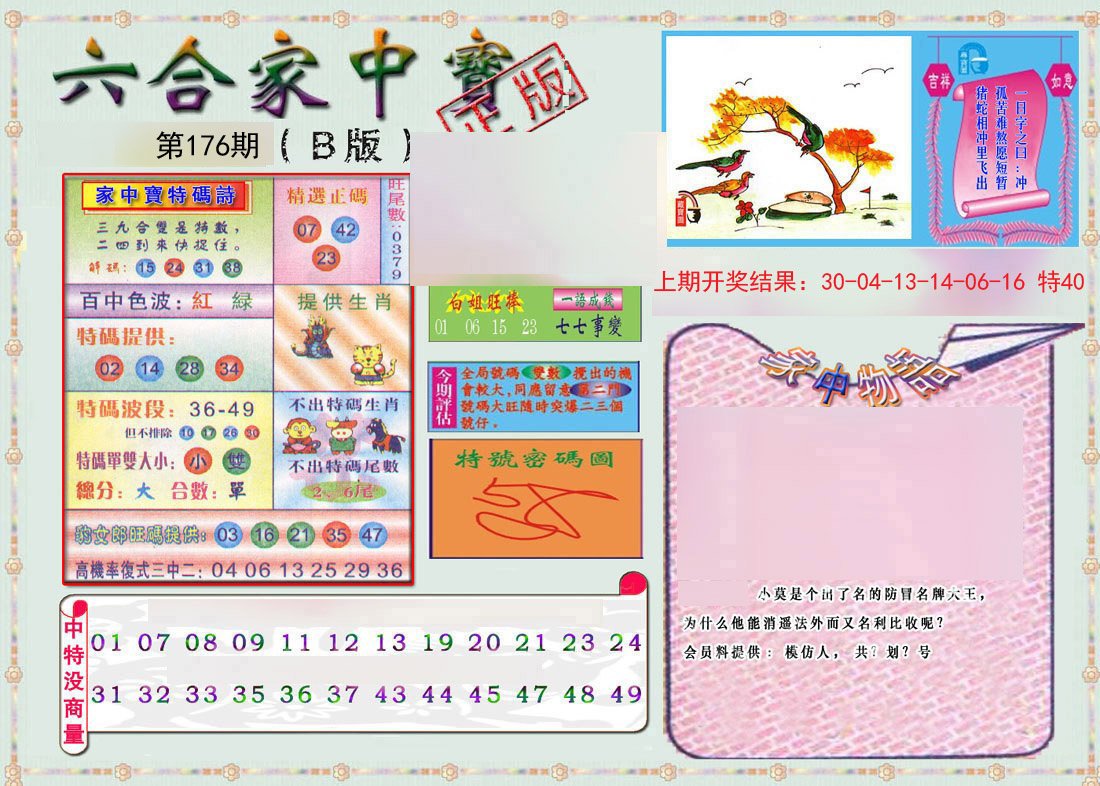 2024176期六合家中宝B