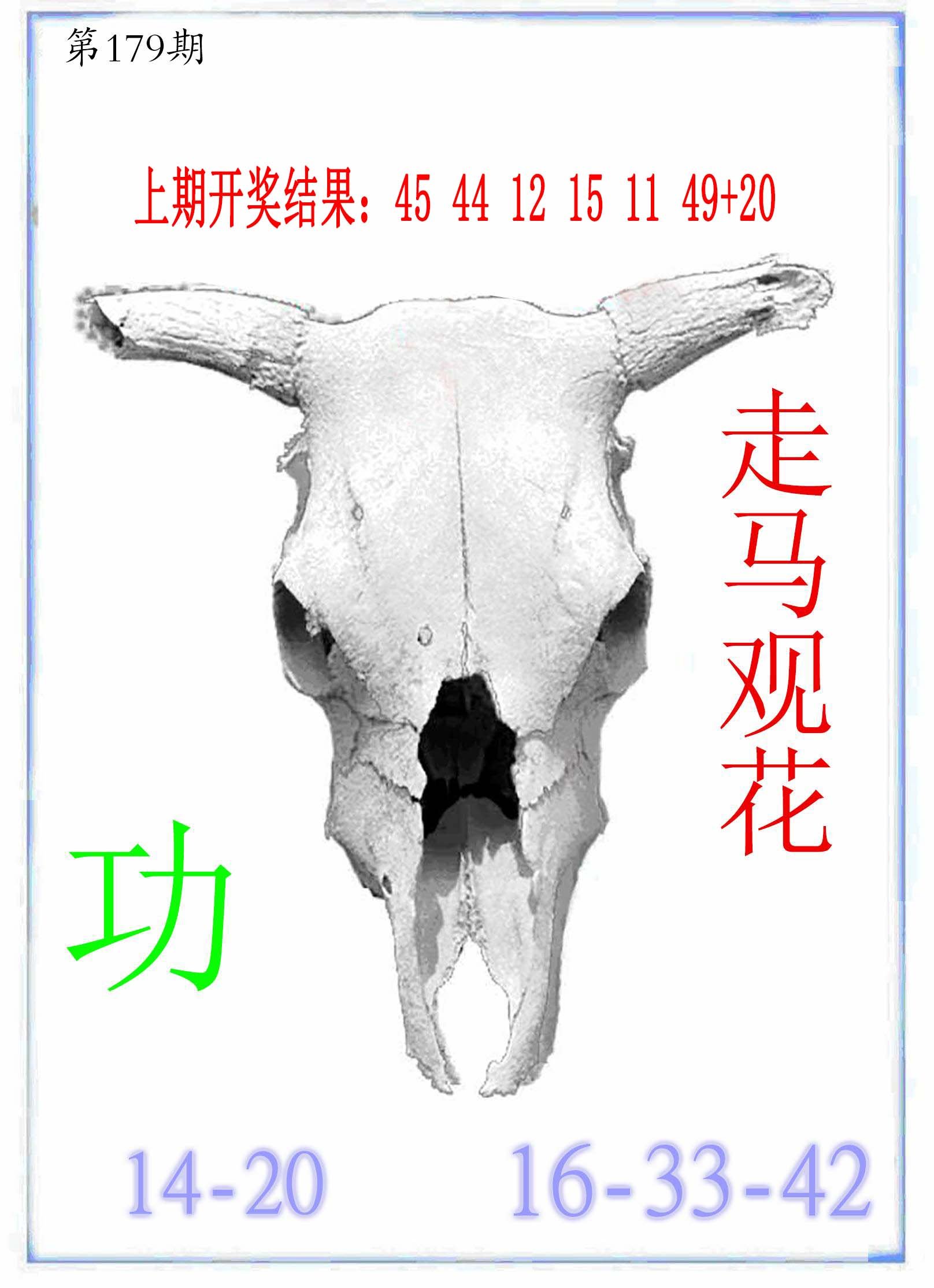 2024179期牛派牛头报