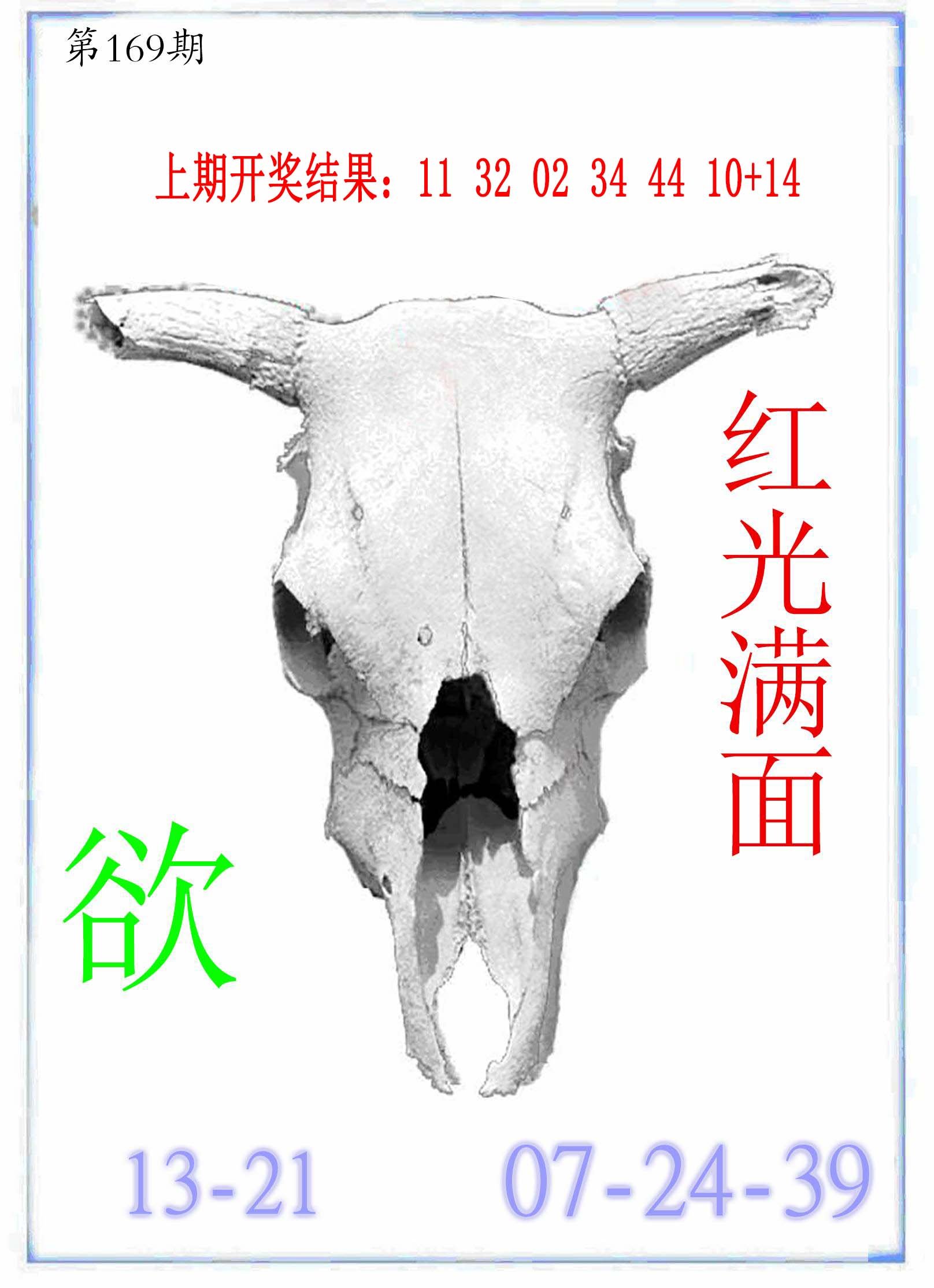 2024169期牛派牛头报