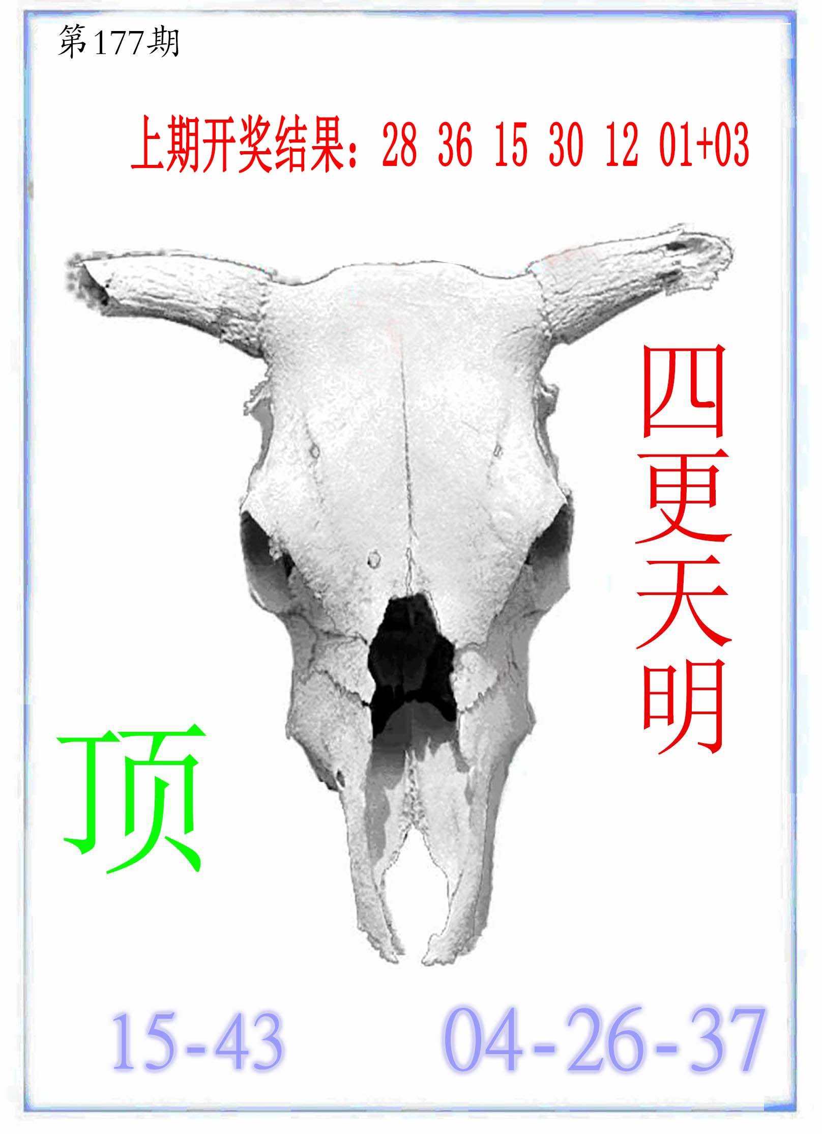 2024177期牛派牛头报