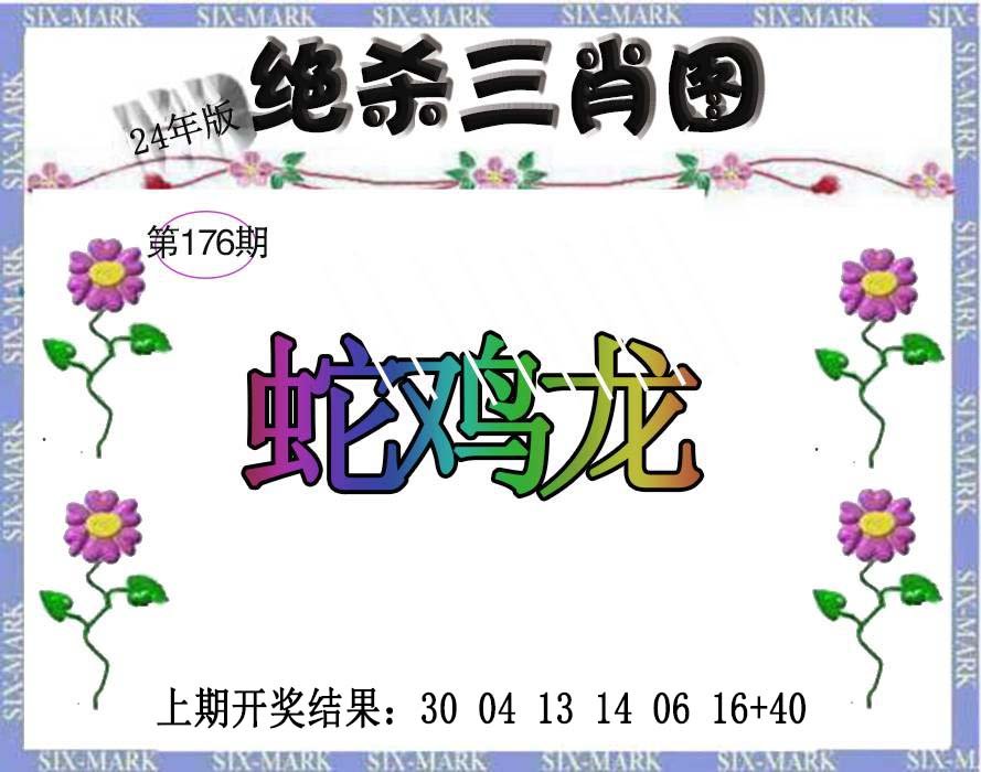 2024176期生财有道杀三肖