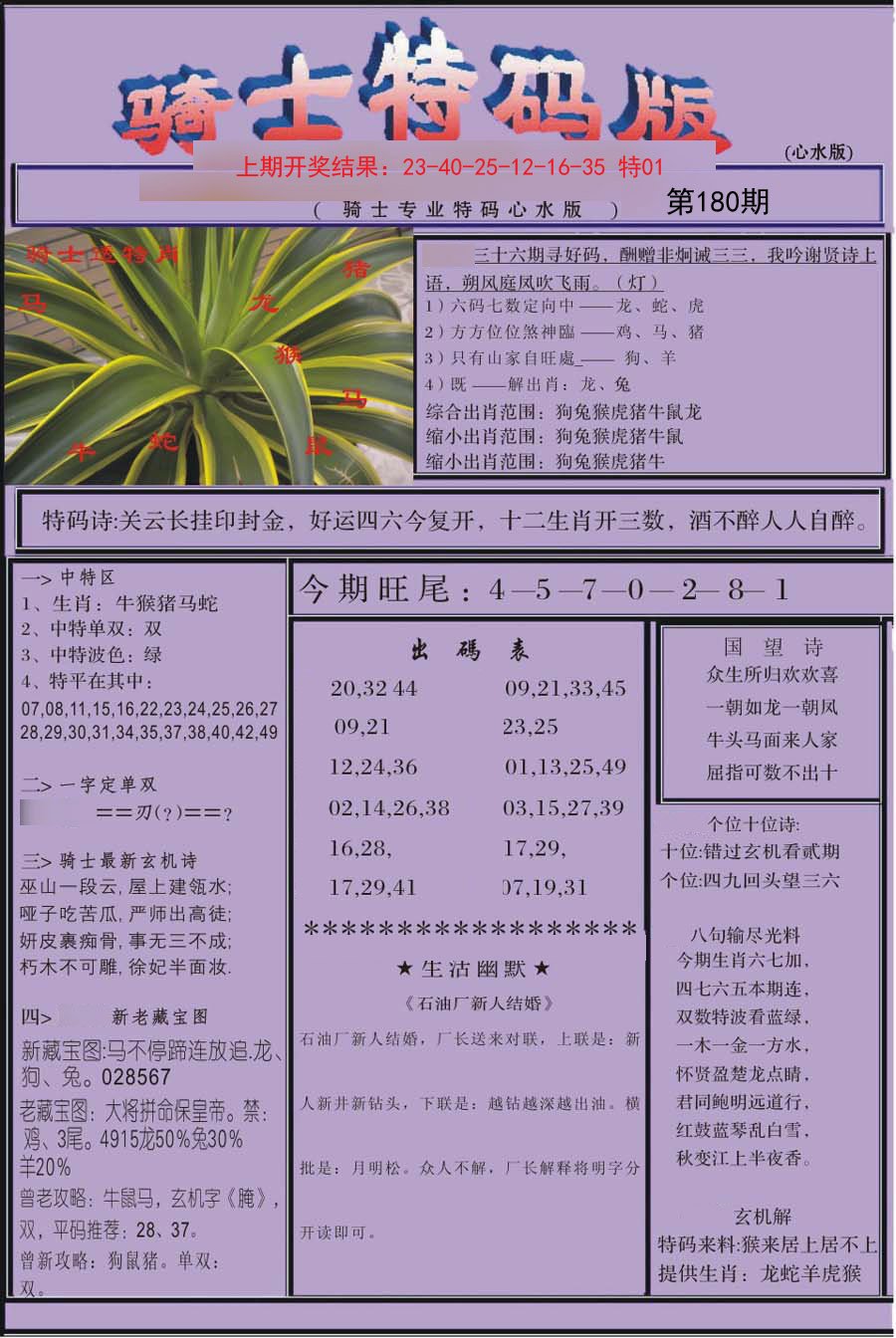 2024180期骑士特码版
