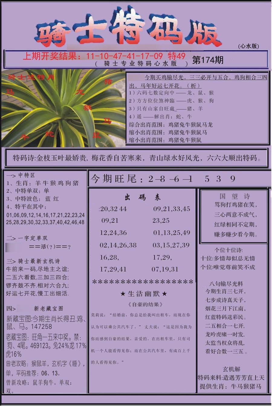 2024174期骑士特码版