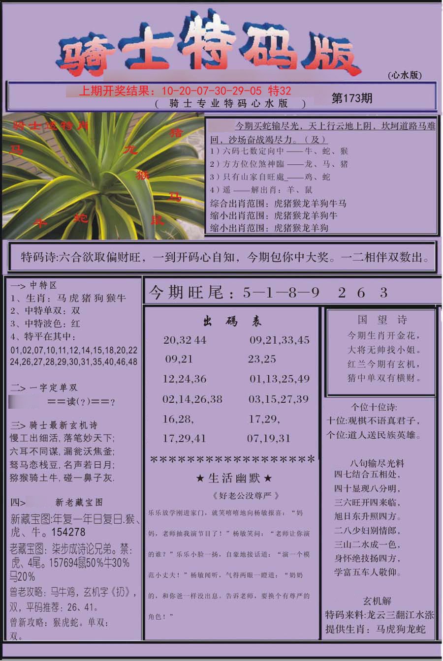 2024173期骑士特码版