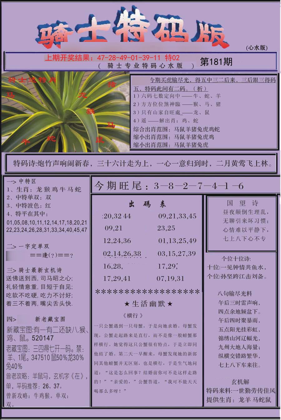 2024181期骑士特码版