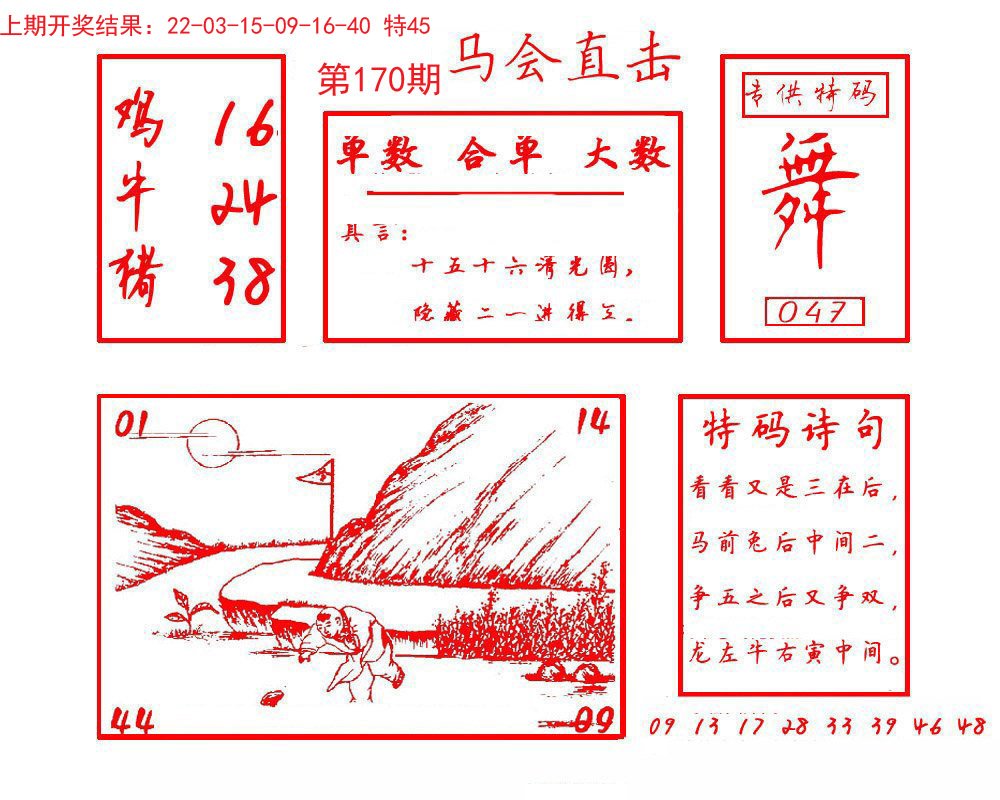 2024170期马会直击
