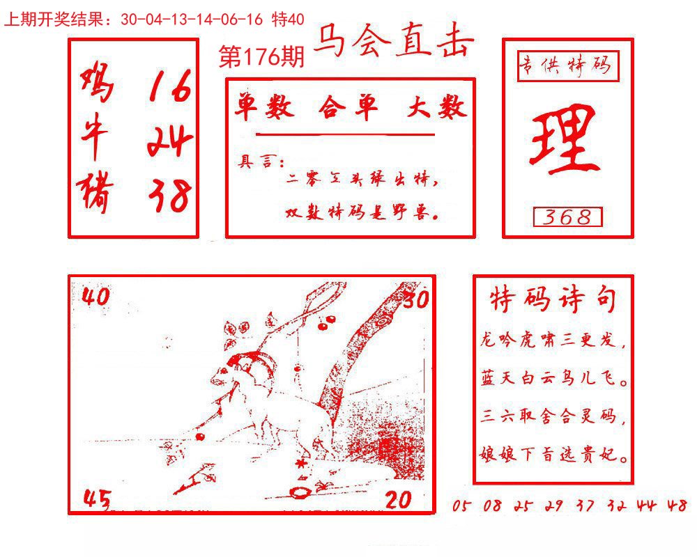 2024176期马会直击
