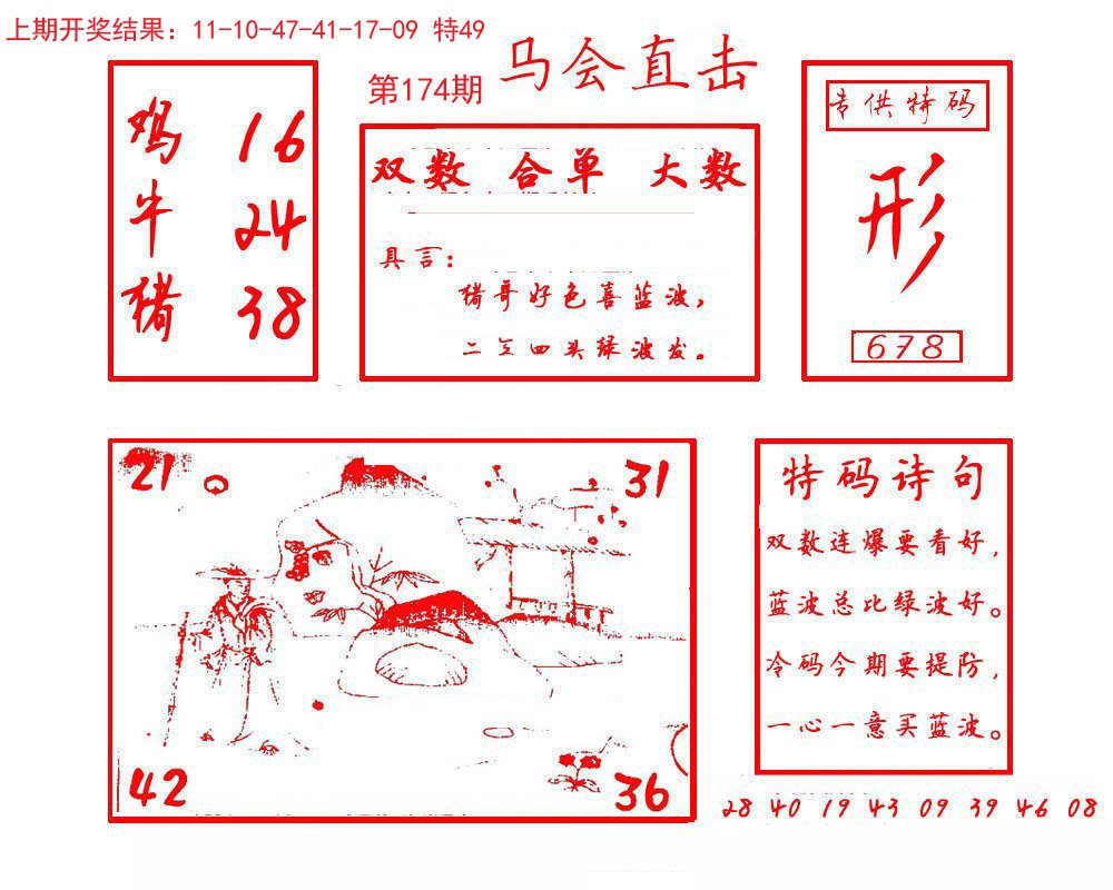2024174期马会直击