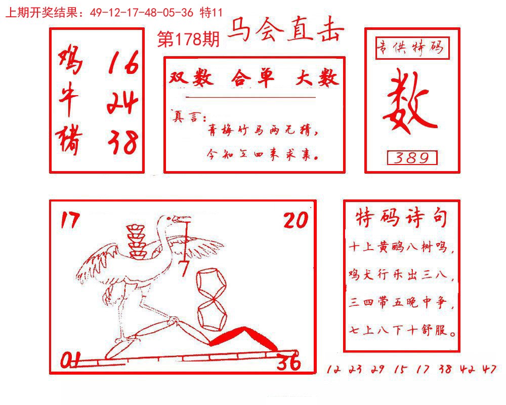 2024178期马会直击