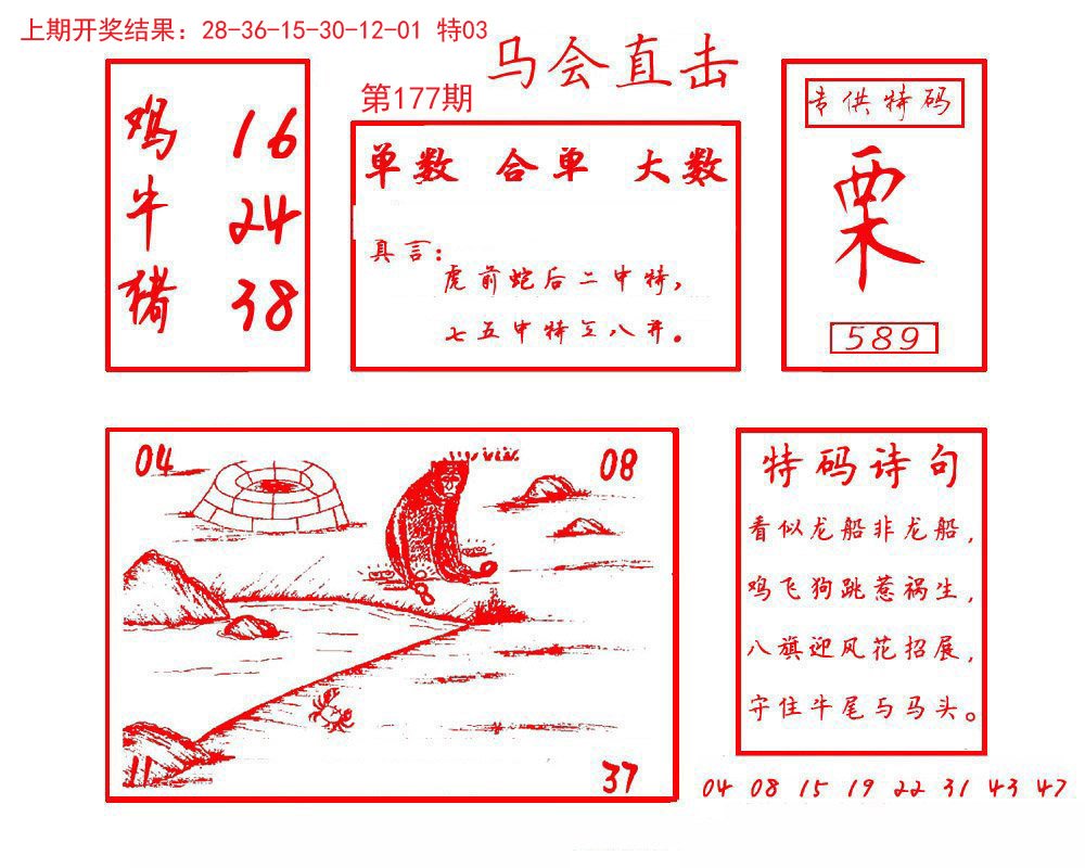 2024177期马会直击