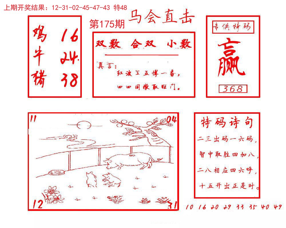 2024175期马会直击
