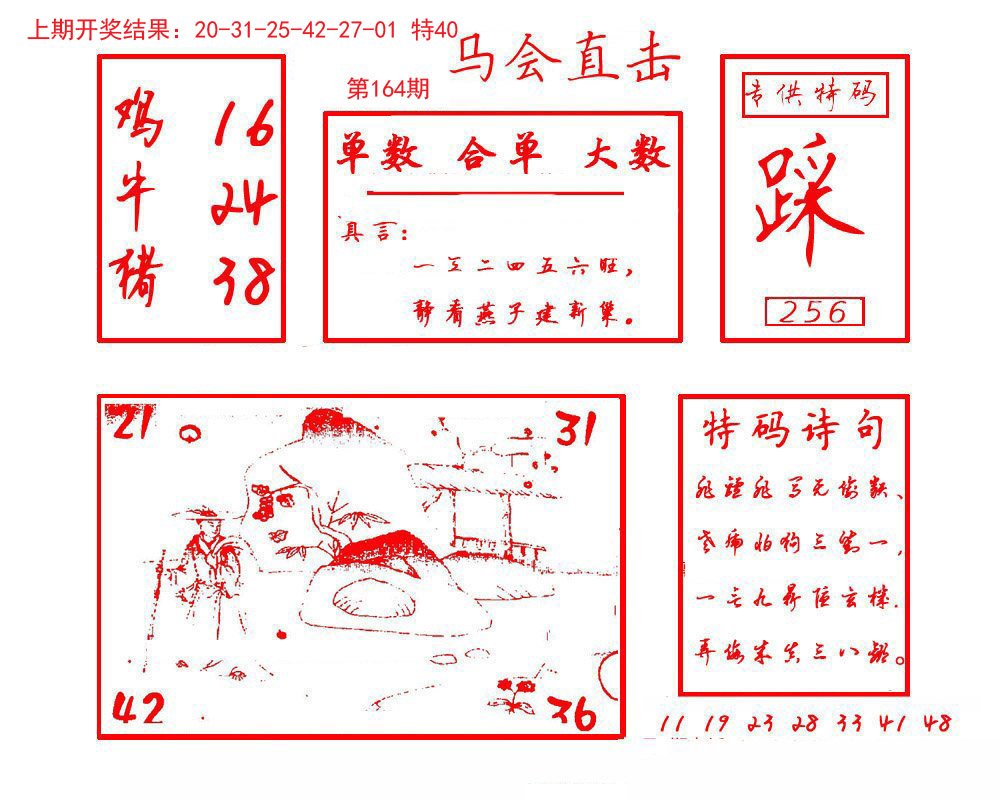 2024164期马会直击