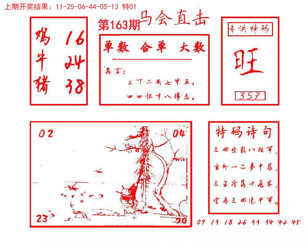 2024163期马会直击