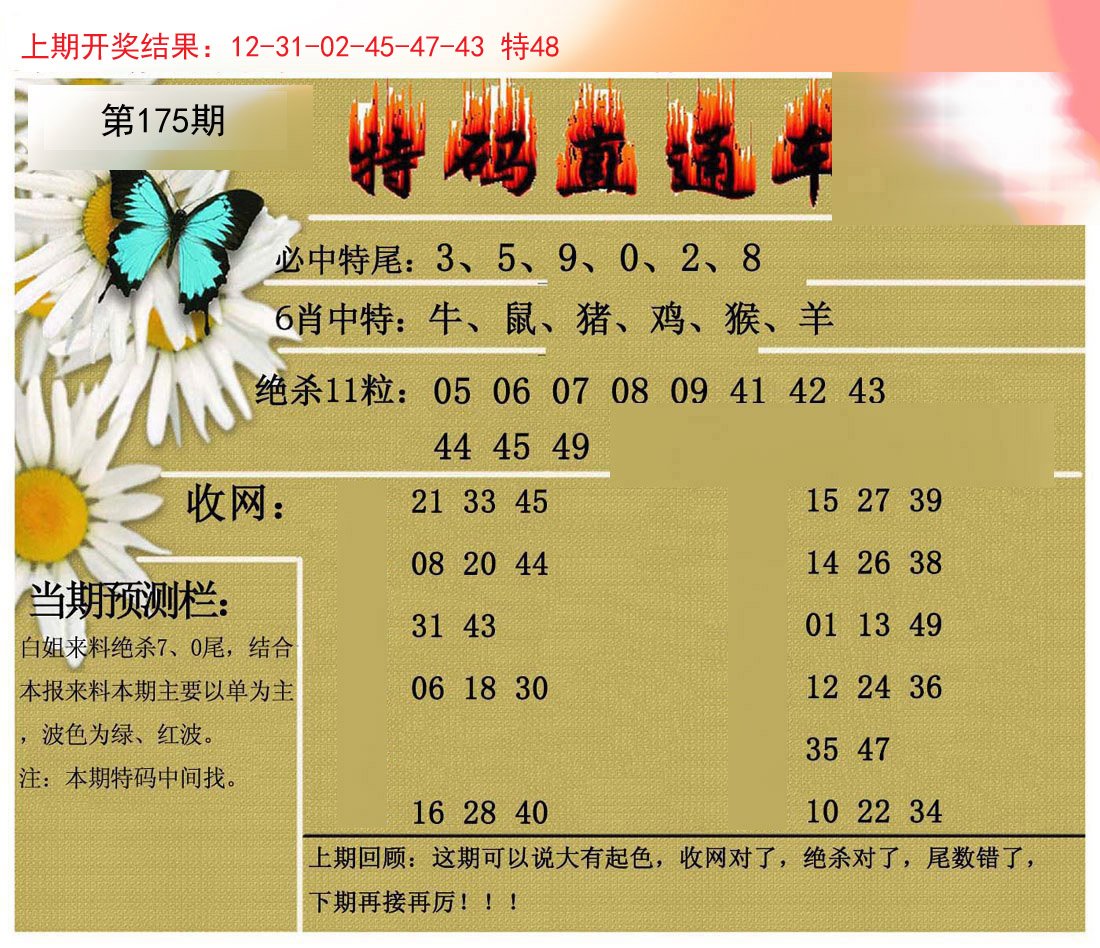 2024175期特码直通车