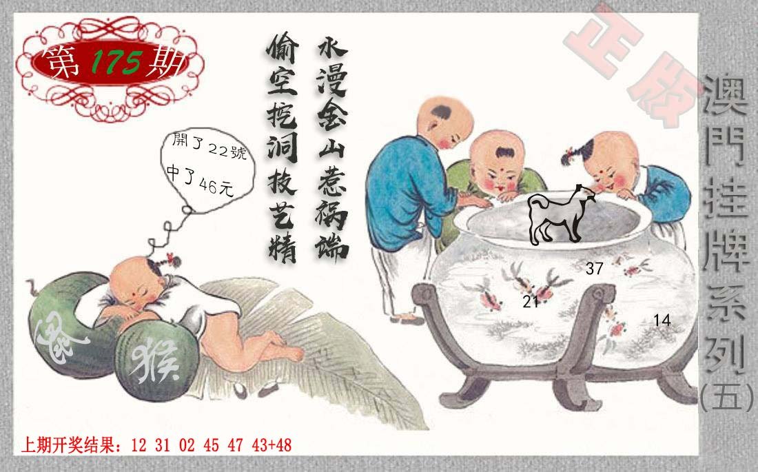 2024175期挂牌系列E