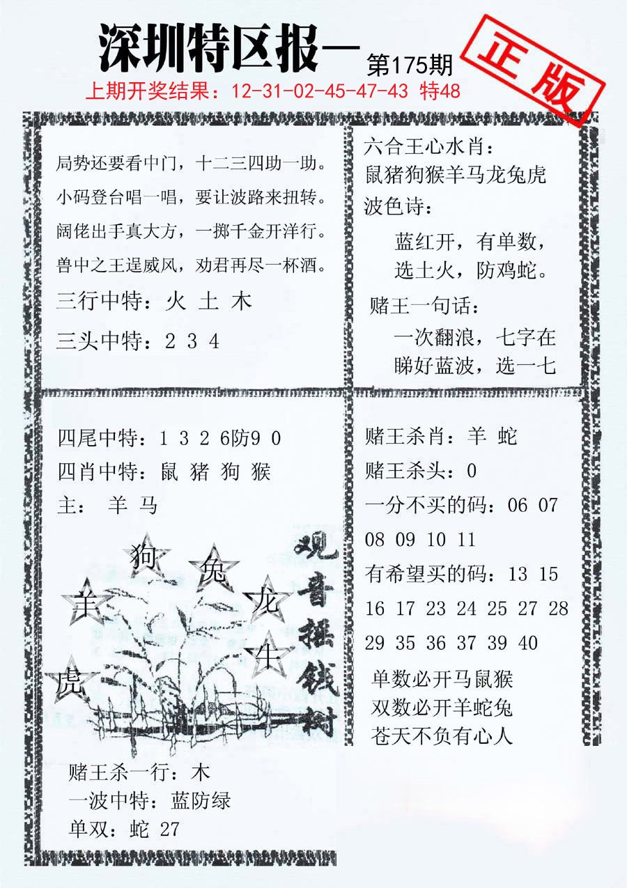 2024175期深圳特区报A