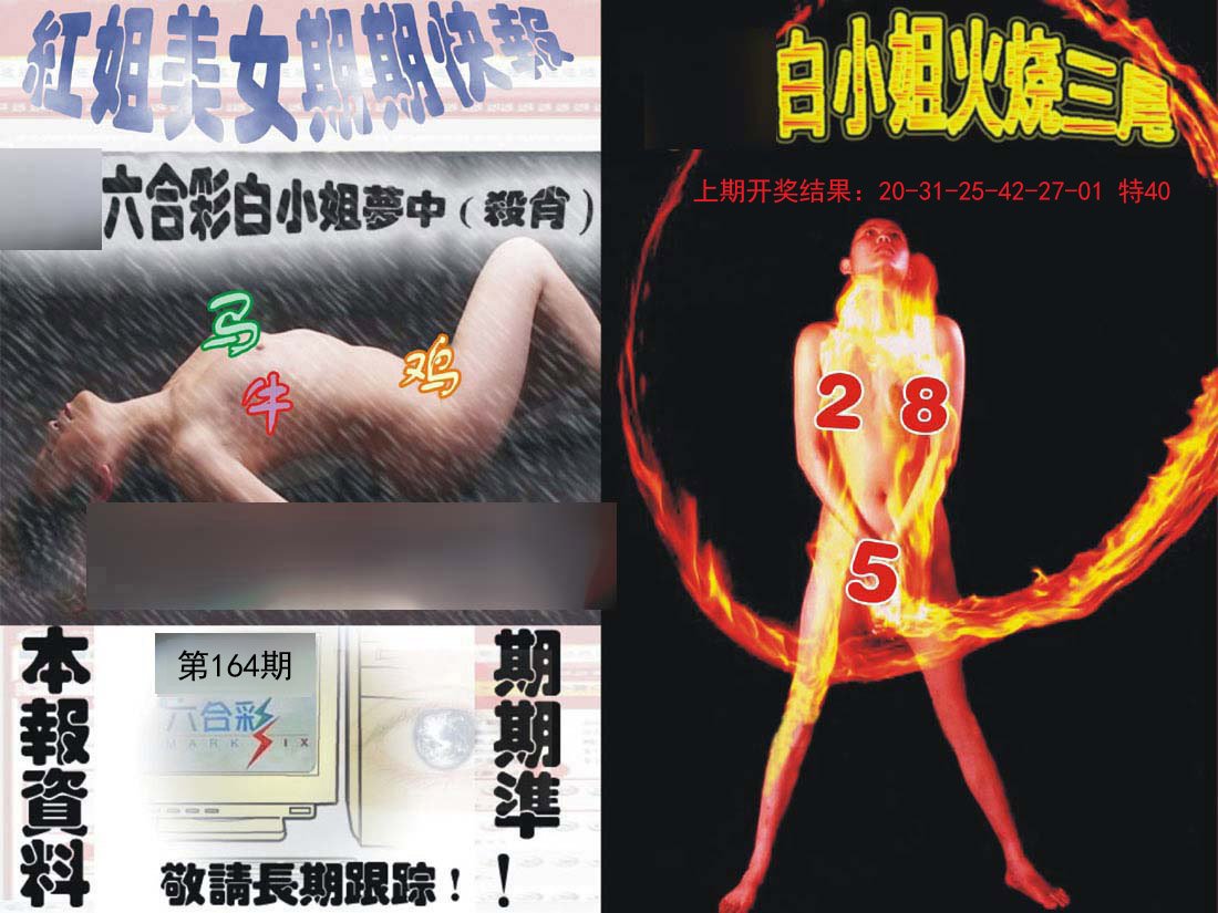 2024164期环球美女特码报