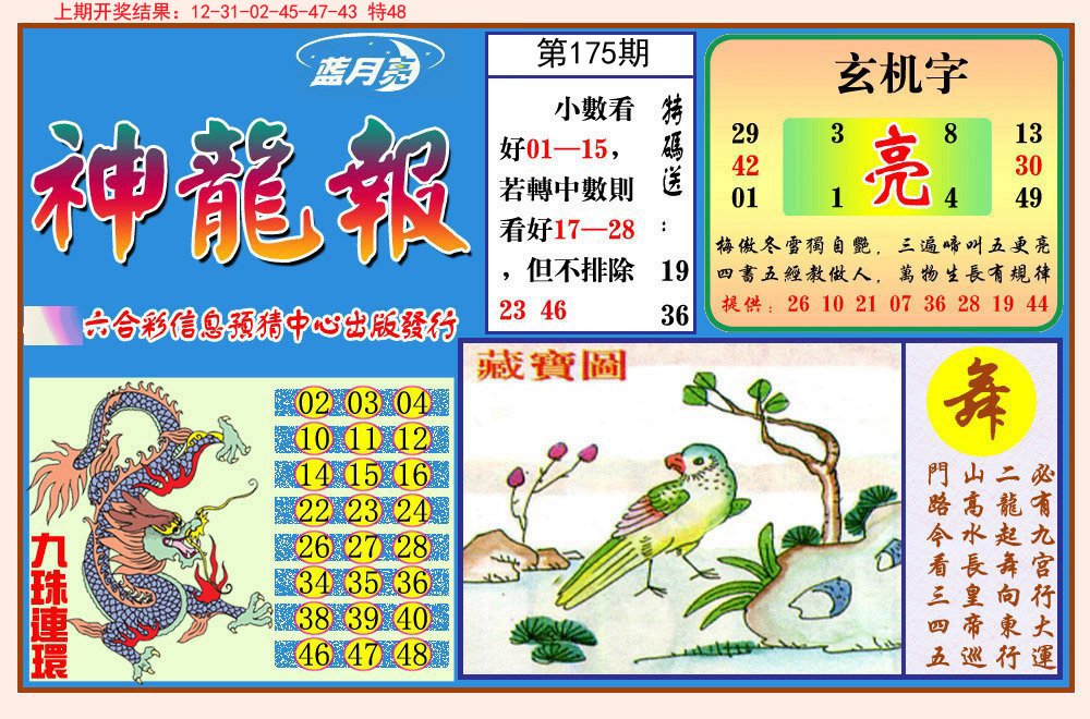 2024175期神龙报