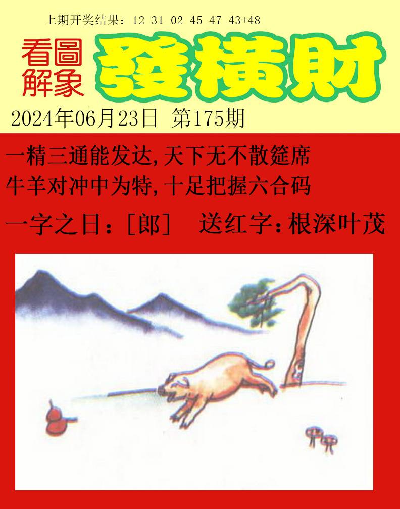 2024175期梦里寻码