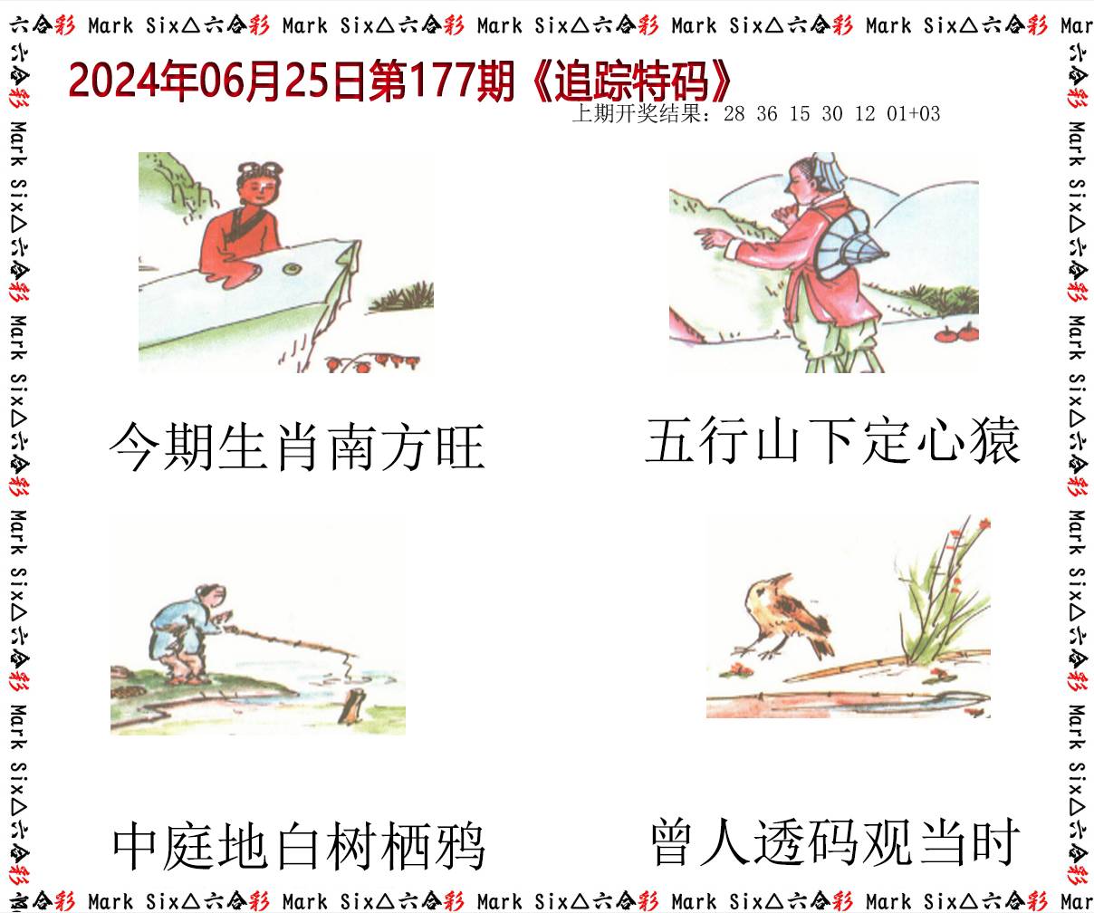 2024177期追踪特码