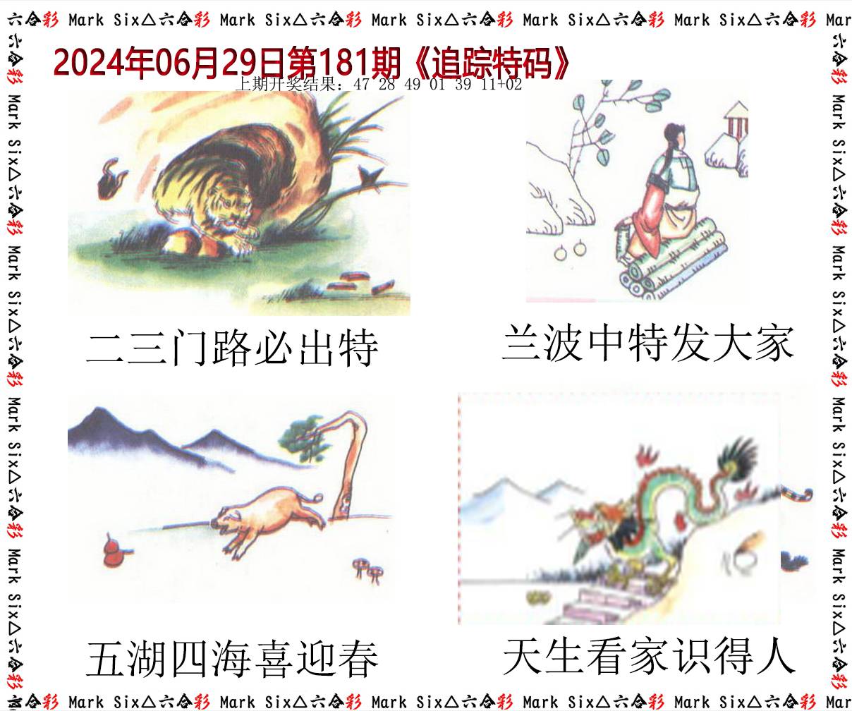 2024181期追踪特码
