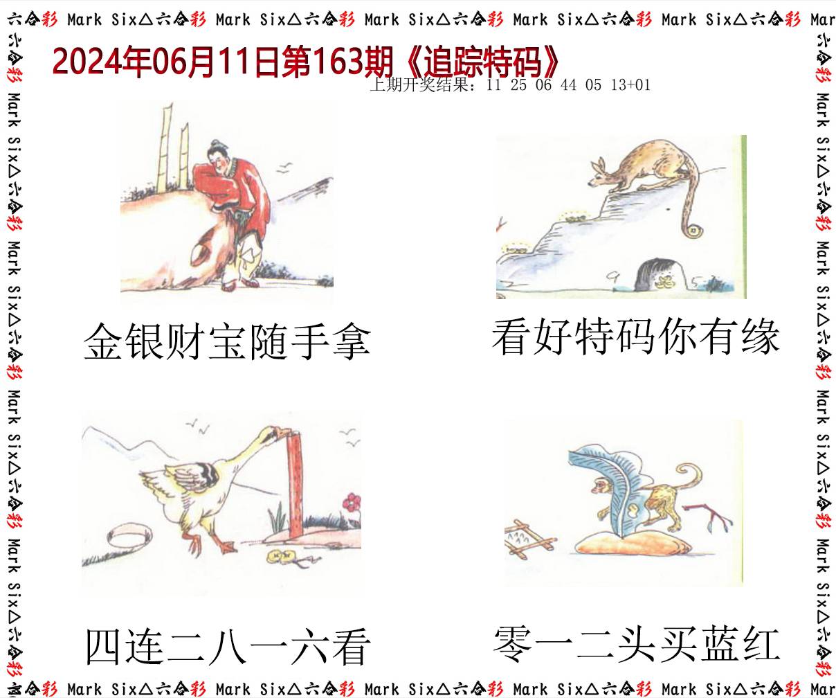 2024163期追踪特码