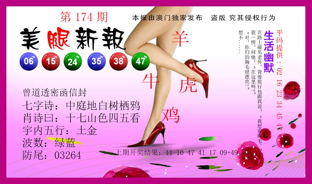 2024174期美腿新报