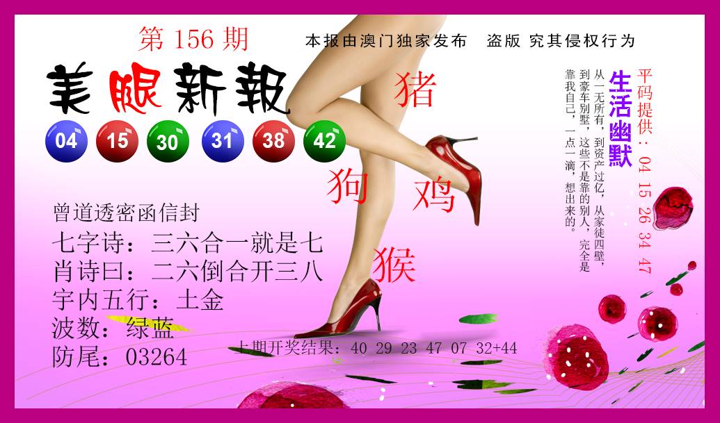 2024156期美腿新报