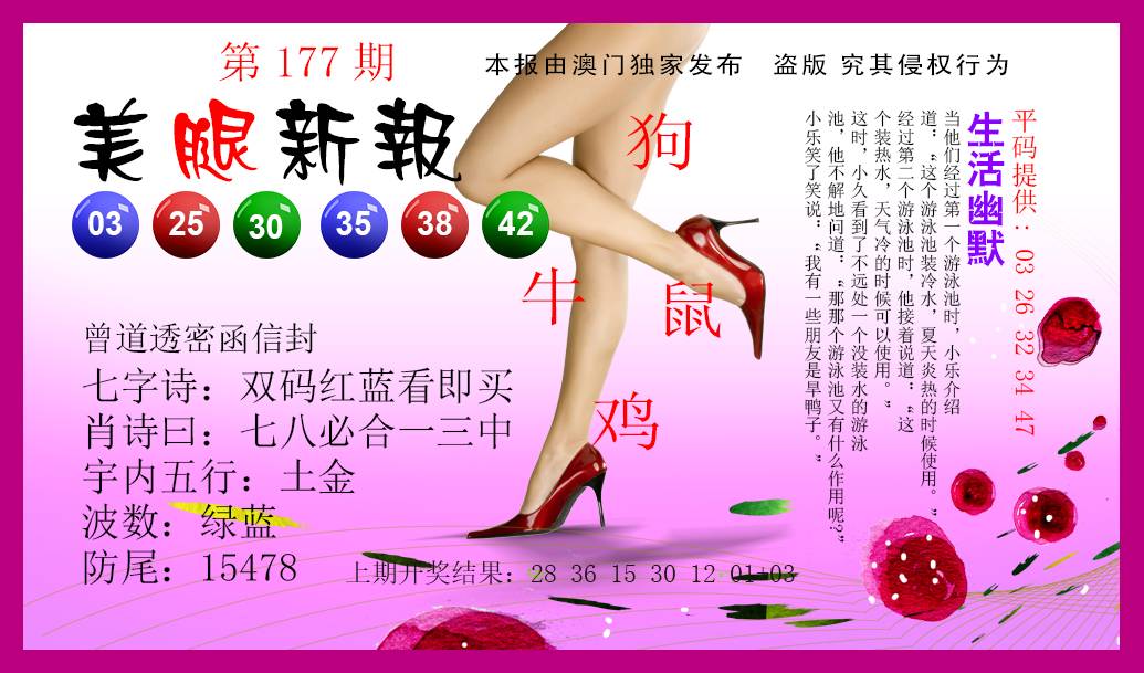 2024177期美腿新报