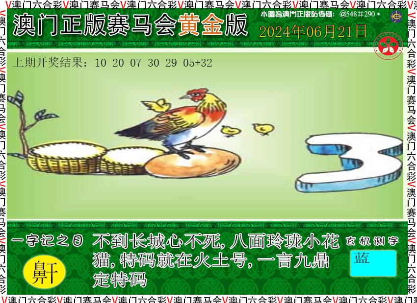 2024173期赛马会黄金版