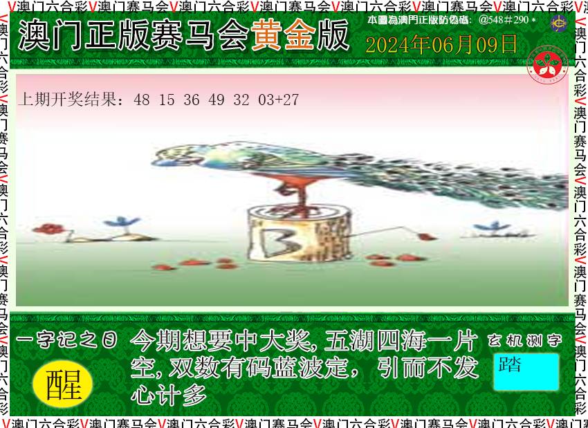 2024161期赛马会黄金版