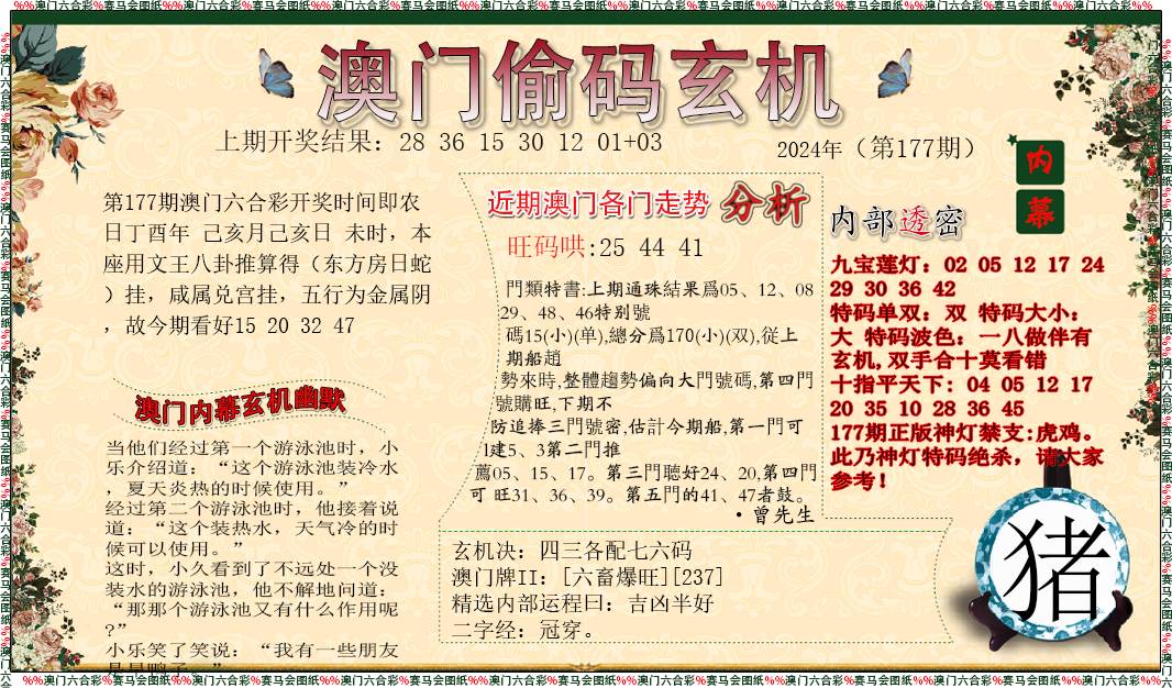 2024177期偷码玄机