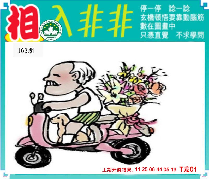 2024163期相入非非