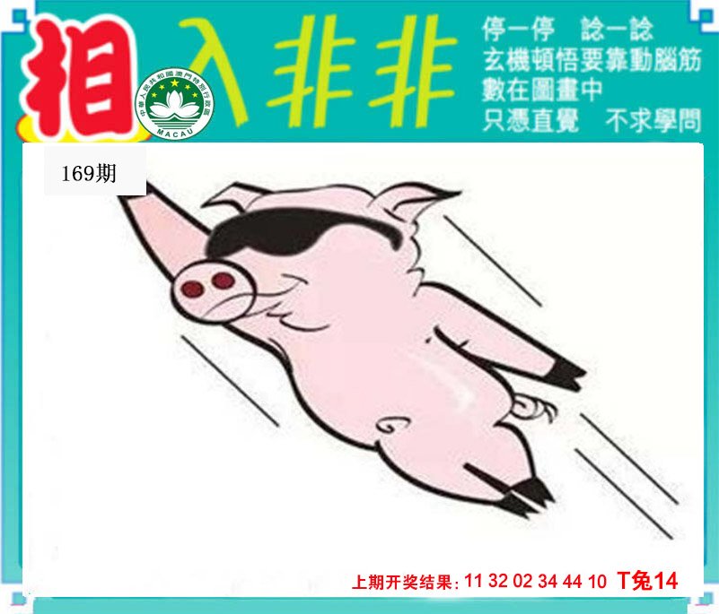 2024169期相入非非