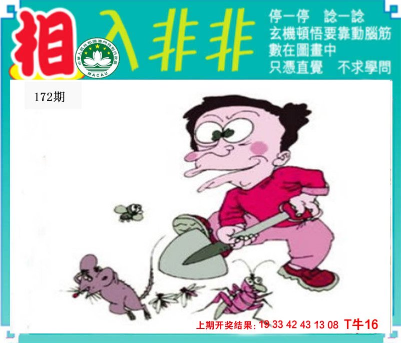 2024172期相入非非