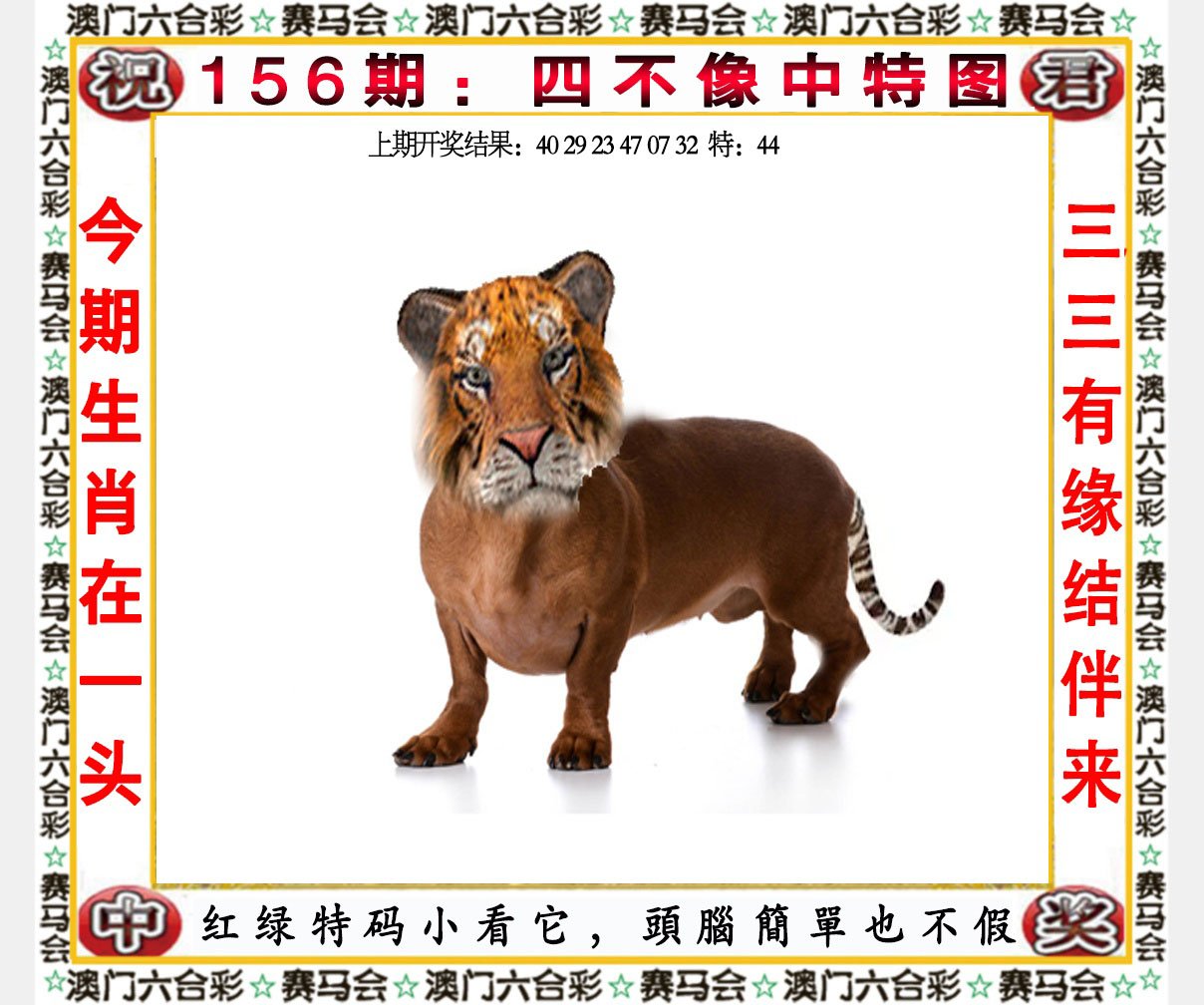 2024156期四不像中特图